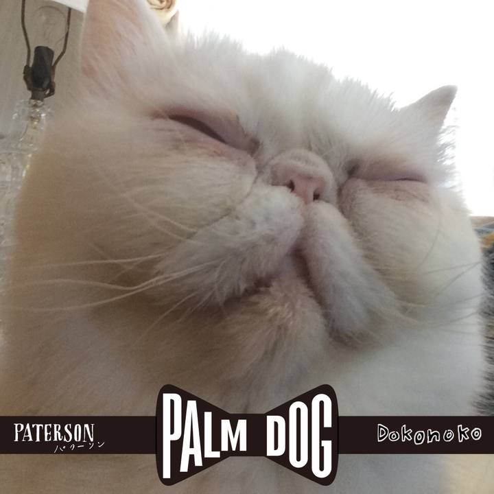 52175aff f4ef 4494 b4a2 8ccc8e0c237b