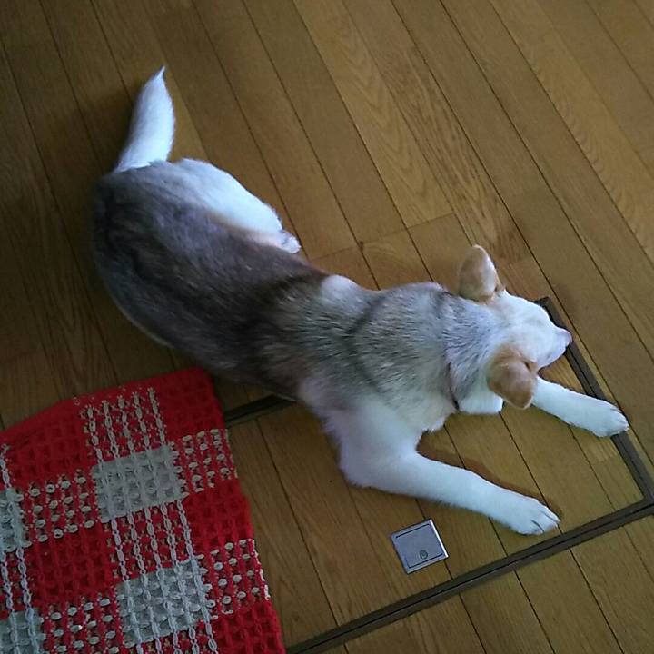 5217e195 ac5e 4ec8 830e 6bbf001614af