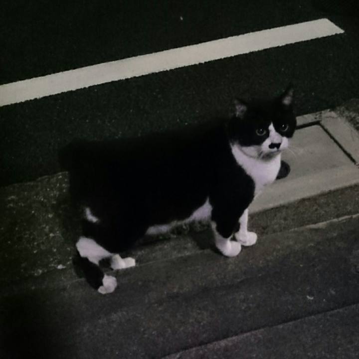 52184329 2a47 4b7b 833f 23dcdd9b81ad