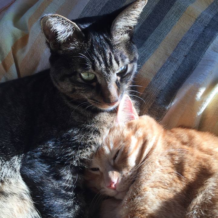 5218a06f 6971 4e4b a71e ae544e1c24c4