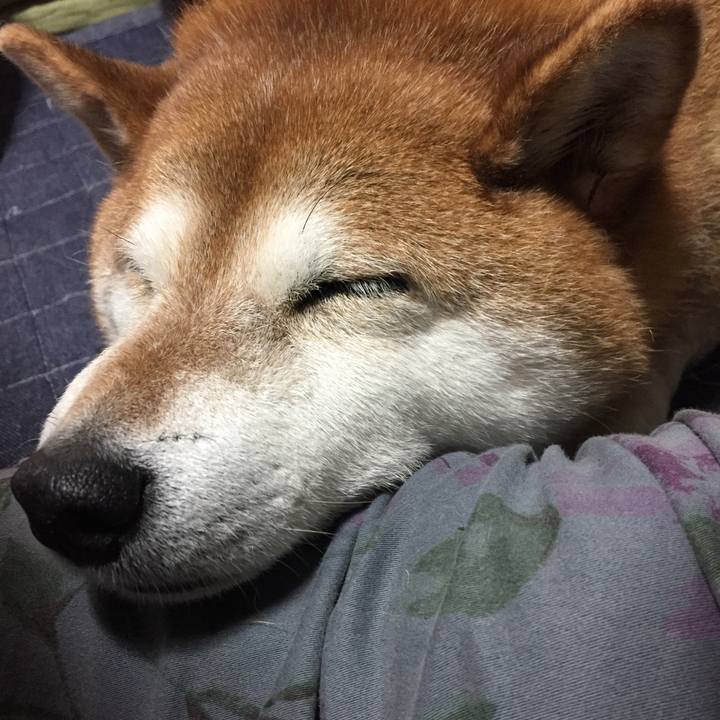 5218afbb bf48 4bf9 b607 cad54bfaad38