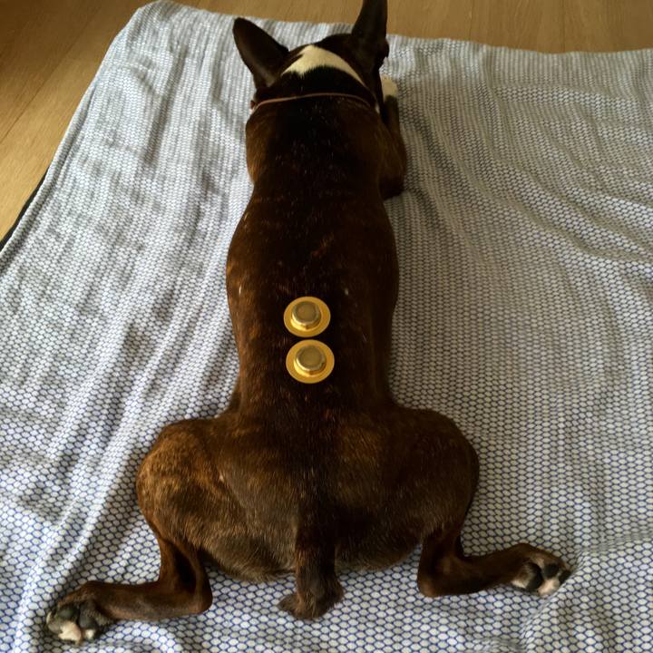 52198db1 b199 40a2 bc63 fc1a73556d3b