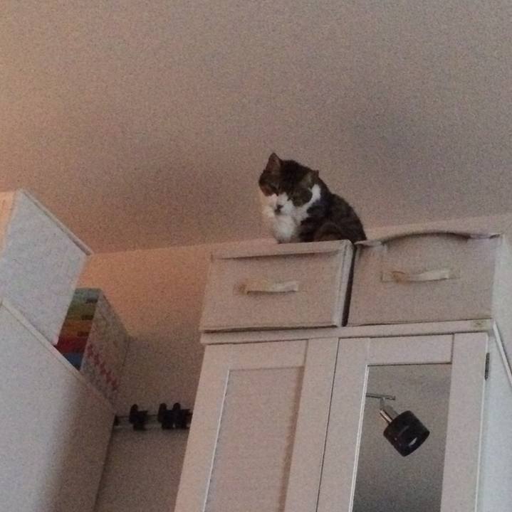 521a5e29 e6d2 4977 9e93 6badb5d0ce17