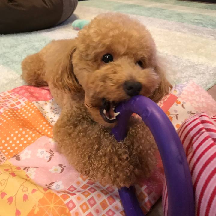 521b6742 fa31 4688 bac7 cc1fc8be20ec