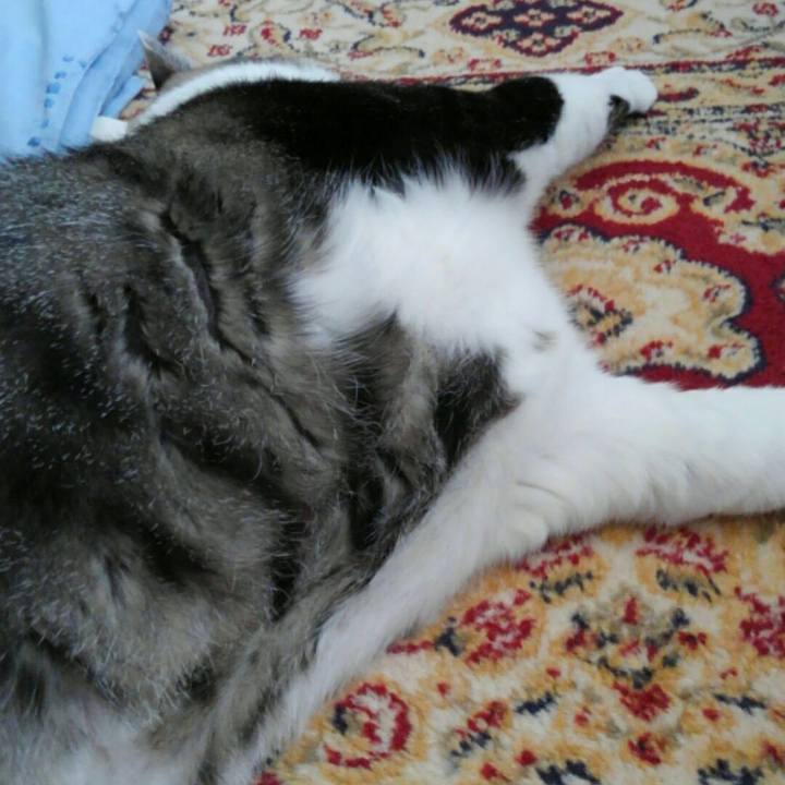 521b69b5 39b2 4c3c a4a3 536f51b5917c