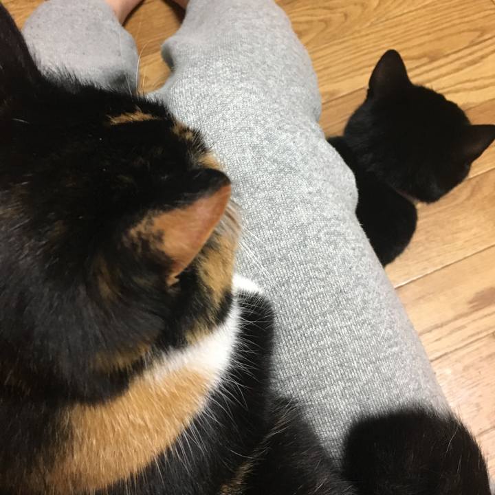 521b7de2 fe9f 4409 9166 6fe7e97cddc5