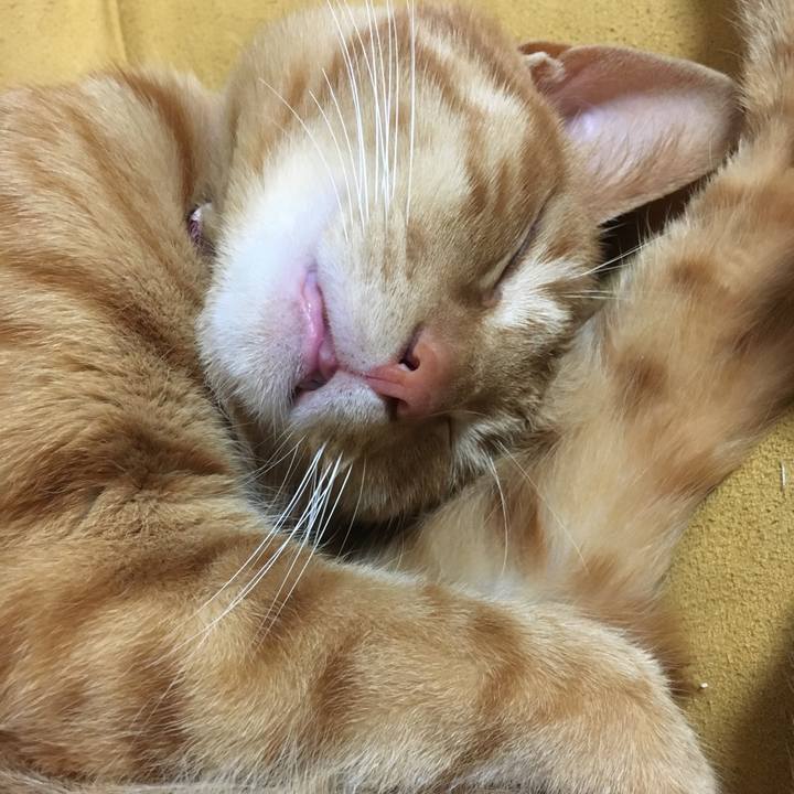 521b9df5 7457 4447 8de8 6ac47d2a9d82