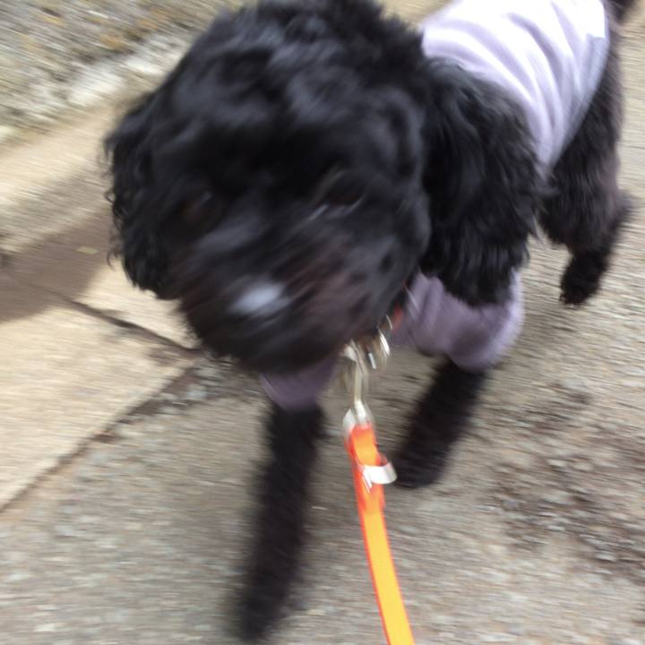 521c4c1f 4ac6 4000 a7d3 7f92a28d228f