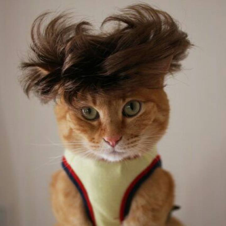 521c7e93 5ba3 4679 a9df 6dc557d0292a