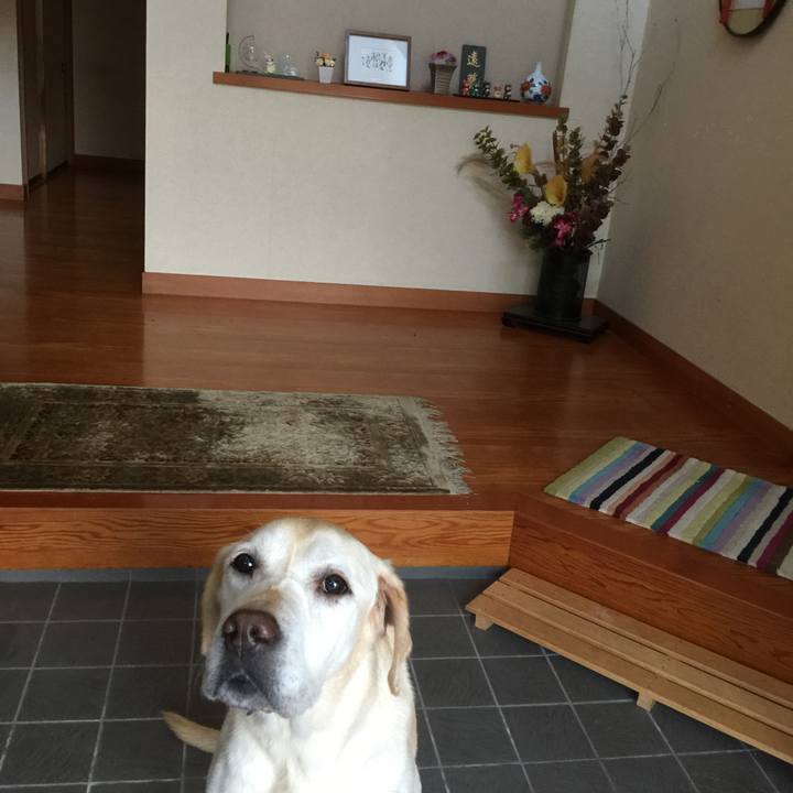 521cb463 6c8b 4ac2 a306 1beb8684c6cc