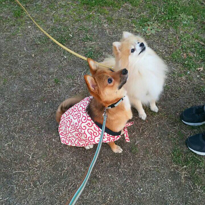 521cdd89 ab82 447d b943 924c496af53d