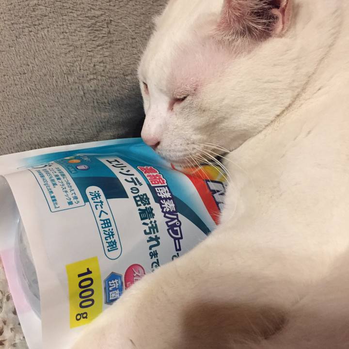 521dbaf7 941e 426c 92fc 2d80a2233252