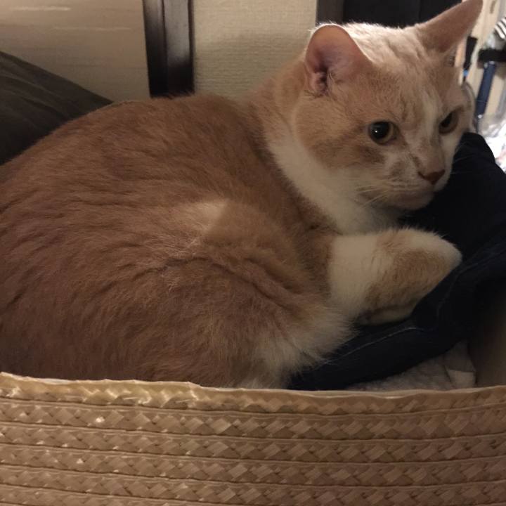 521e091d 3208 4fbd 979f f89a645eb142