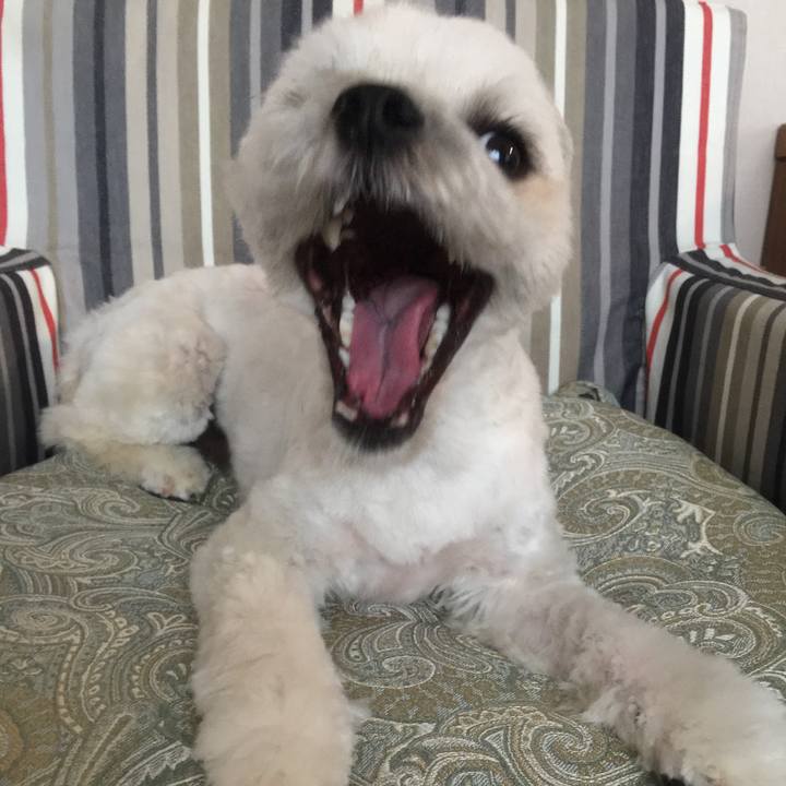 521e84fb 3b3d 407c 9caf 6a8771969bbb