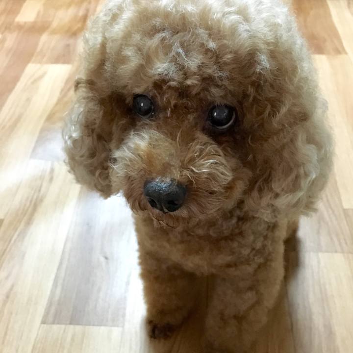 5220d8e8 844d 4d09 8e1a 71094178a214