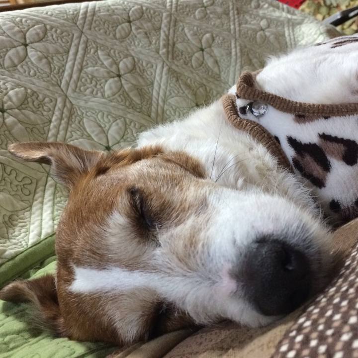 52219569 c31e 44e9 889e a12a61b26389