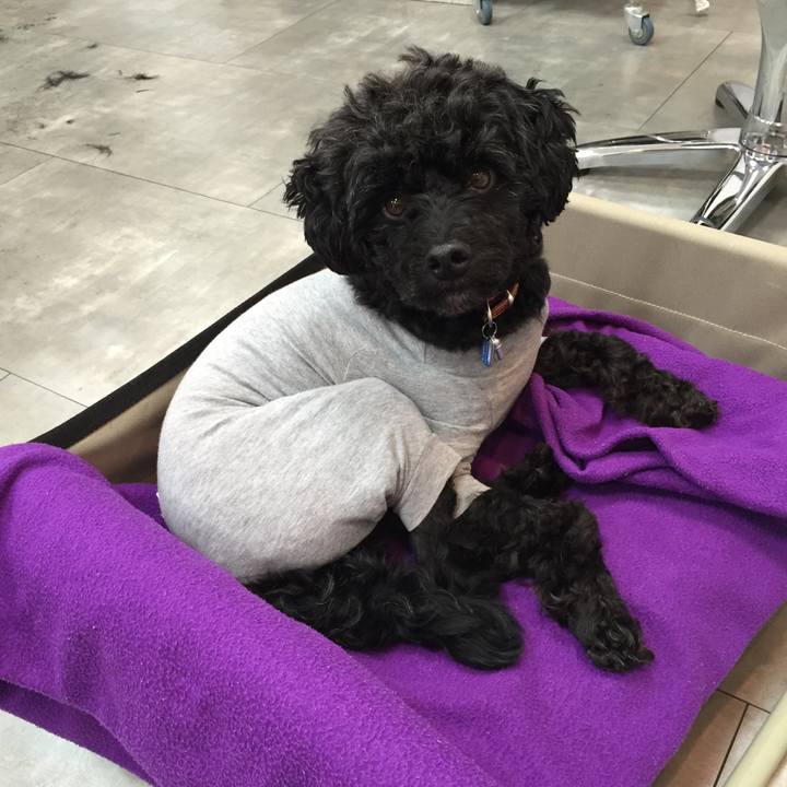 5221bdcd 7049 4d33 998c ab7a2caa37a4