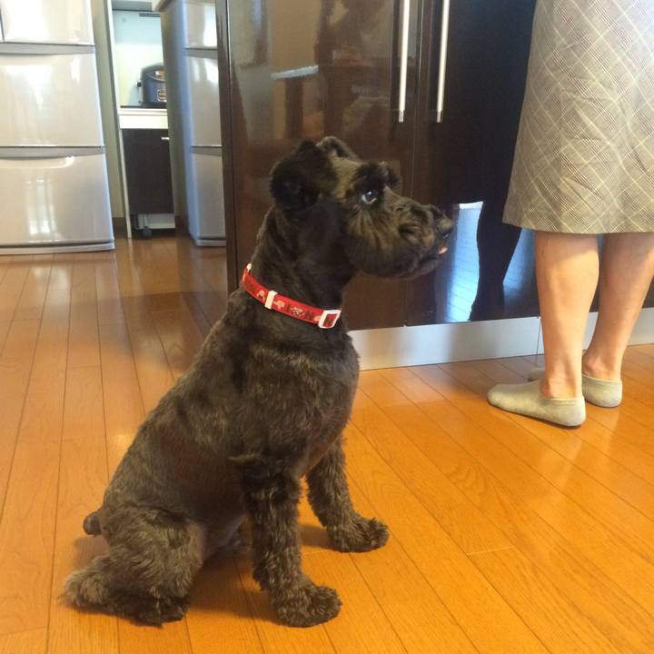 52228727 8bcb 4be9 be29 60ea8c772494