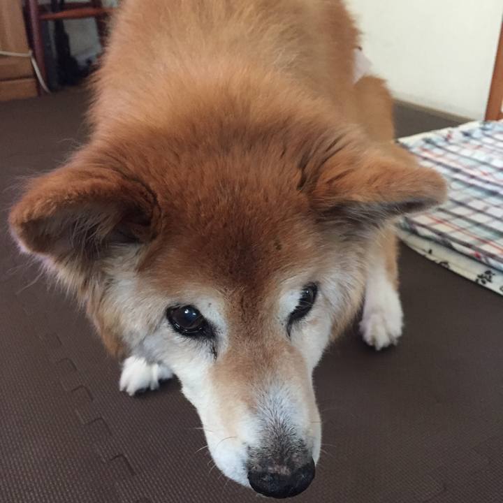 52229a85 25d2 4474 8f2d 94eb193345e9