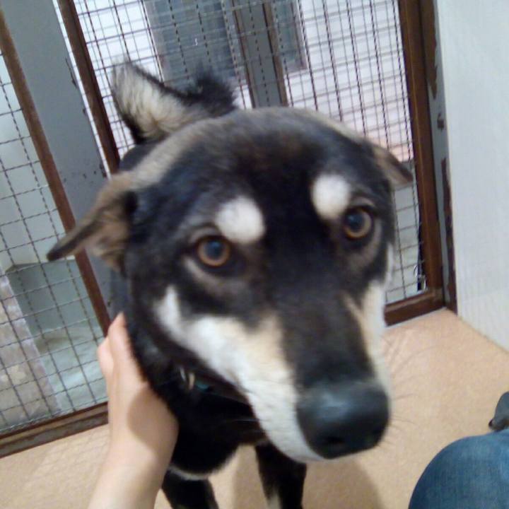 5222e84c f1b2 4688 ab8f 5fe326b86816