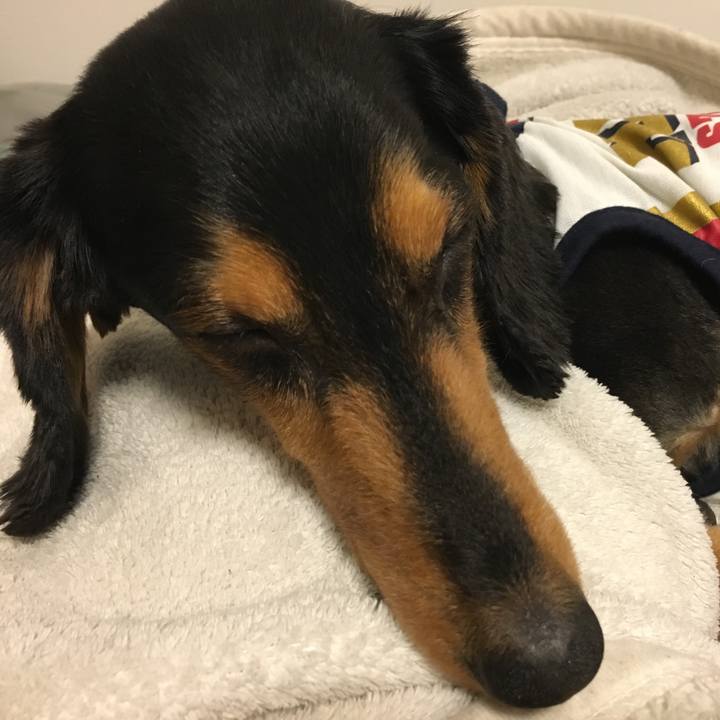 52230701 4a9b 4e28 a13b 57af2d694f91