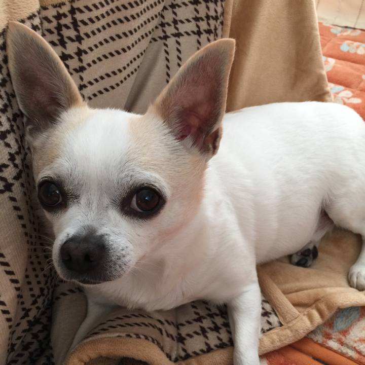 5223dcc0 6bc7 4485 ac67 6518eda076cb