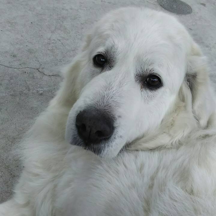 522425ac b590 4c9d 8c1e f9bbe39388c7