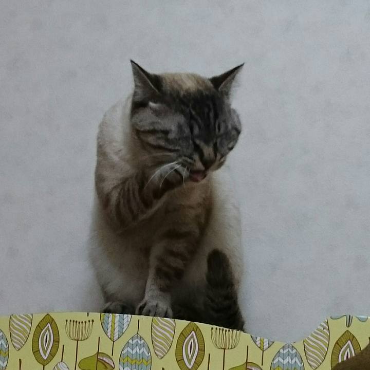 52249d62 dd8c 4e29 9c9d c700adbf86a4