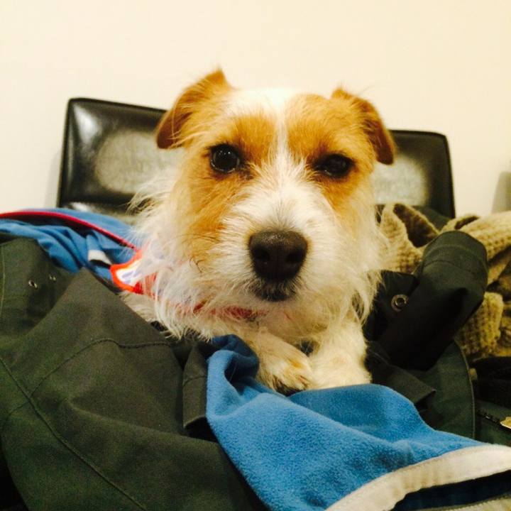 5224e697 d685 460f abbd 476d345c5a4a