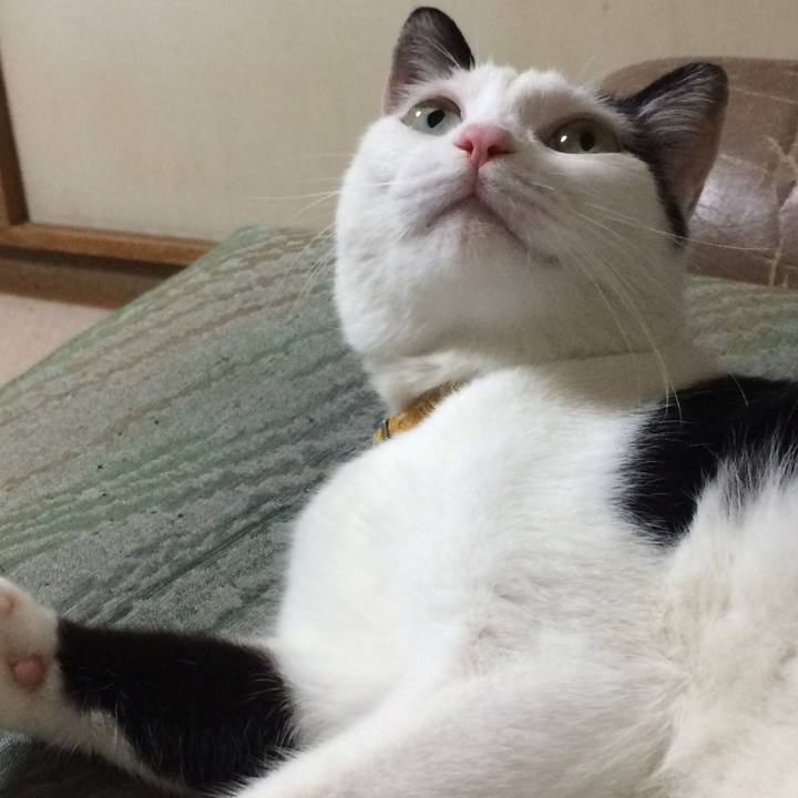 5224f86d 7979 46fe 8b3c 709238e6e27b