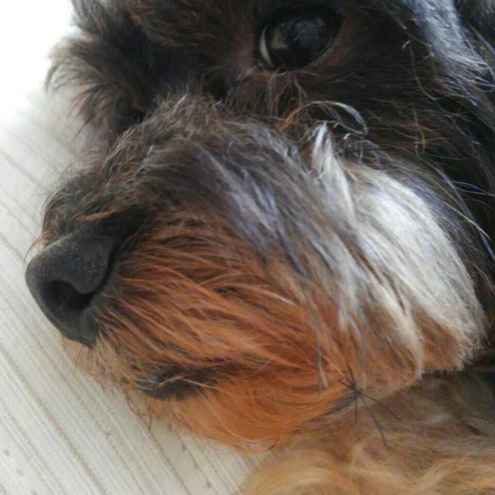 52255319 058c 4302 ab88 5e72d167b07d