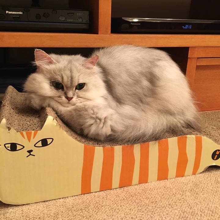 5225986f f422 40e7 9d73 68977f26df44