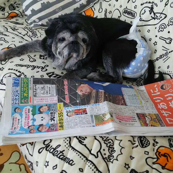 52261595 7628 4370 ace6 eb690e14ed57