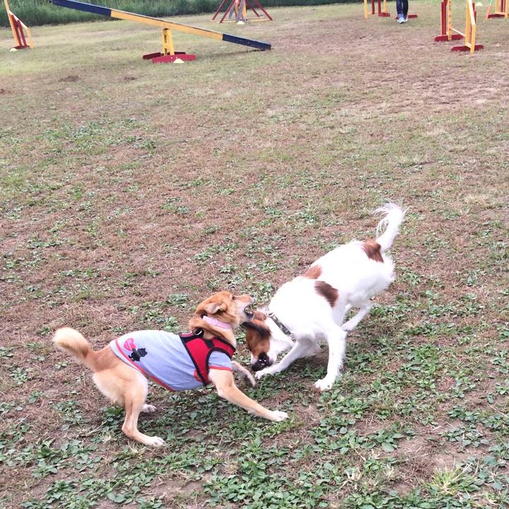 52265786 437d 4032 9cb3 e35cc8d6cc55