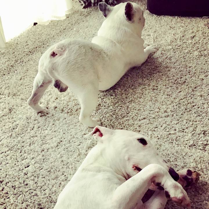 52267fc2 3a92 4de6 b78e 9cc06e42eecc