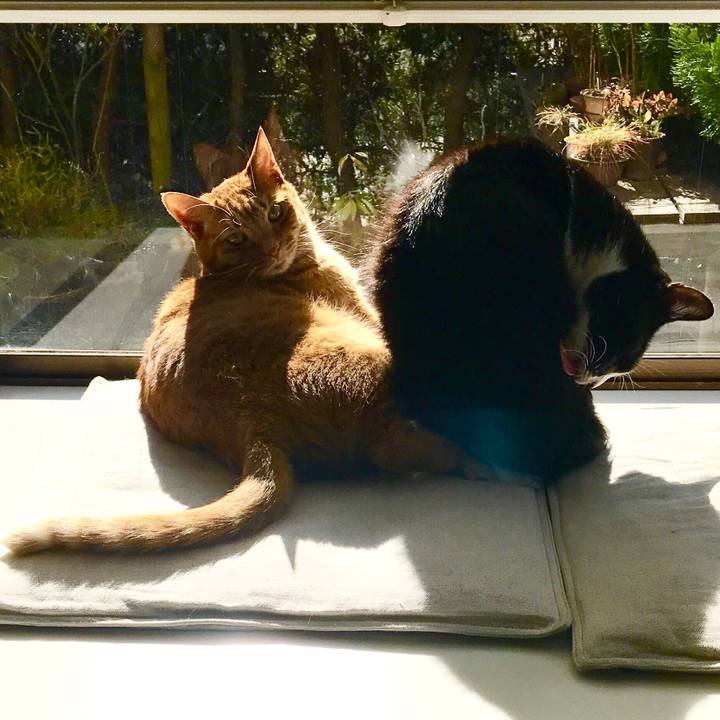 522717ec bf7f 4d41 9d16 86c15d0b5bc1