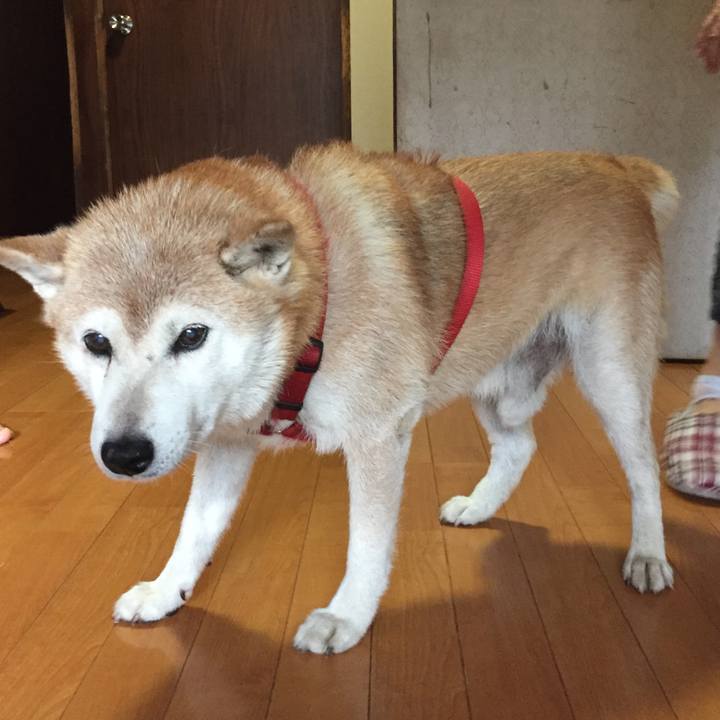 52273e50 526a 49cb ad3a 4a7b87589ac5