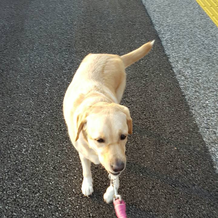 52277638 e7f6 4740 98d8 81aea8fcd22c