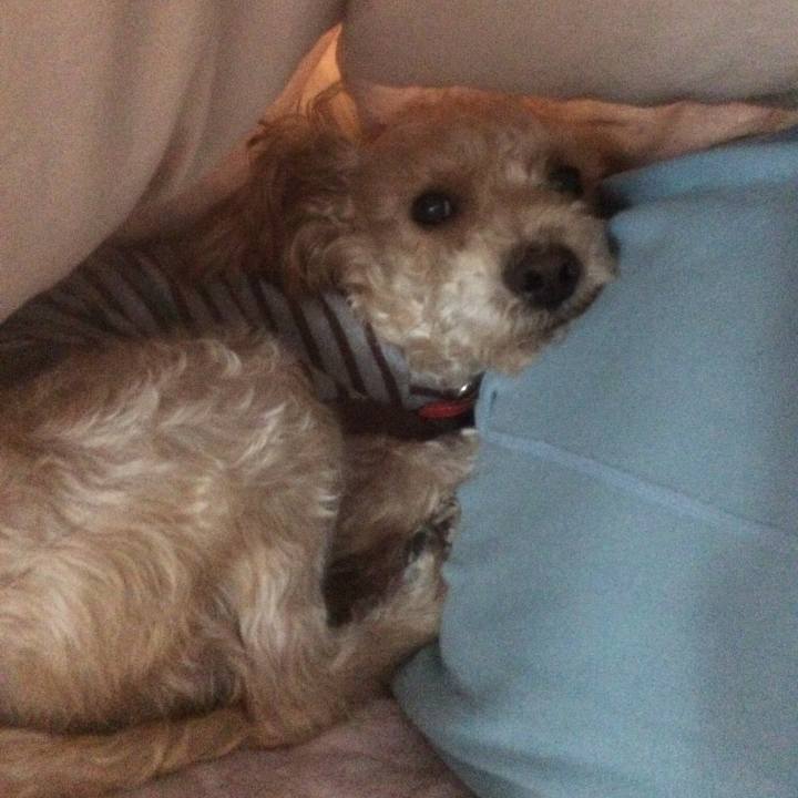 52287cf9 7092 41ff a13b c823b9da0fcb