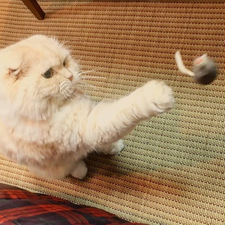 5228f87f 3d20 452f 9075 6e8d1b3c6d30