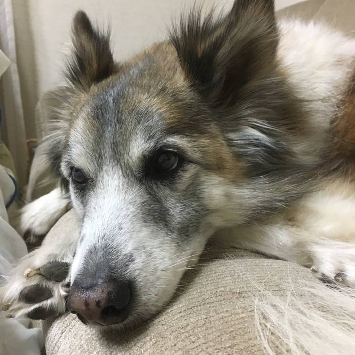 52294cb7 a325 46e8 b88d 3c60b77cc80a