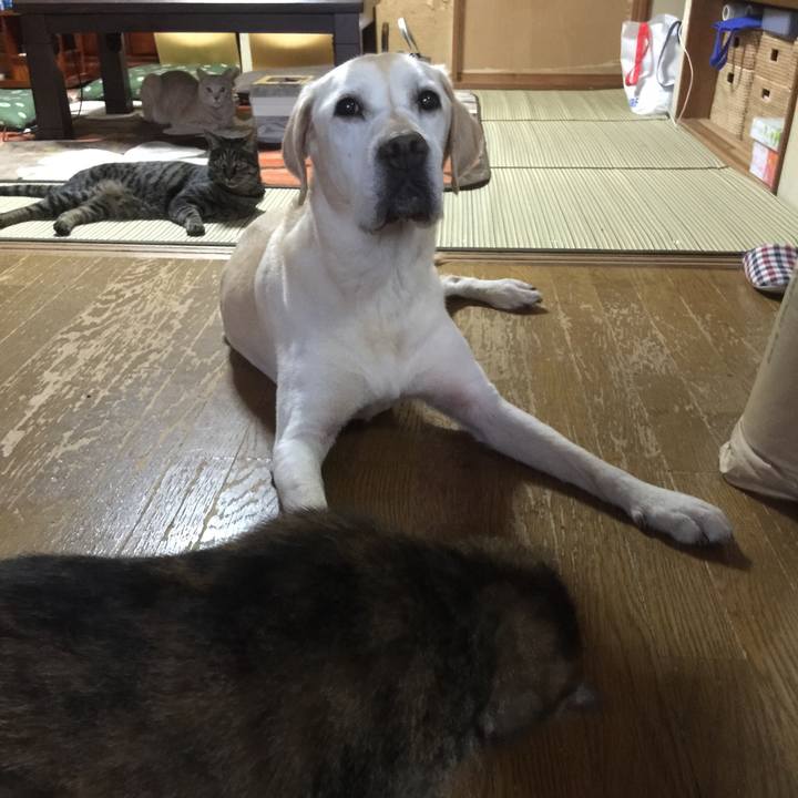 522958cc 5284 4dc0 b440 c45fc72f7660