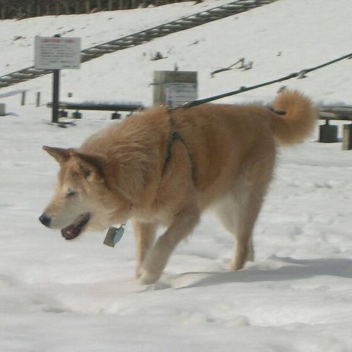 52297545 1478 4d2c bbf3 375c542b5fbb