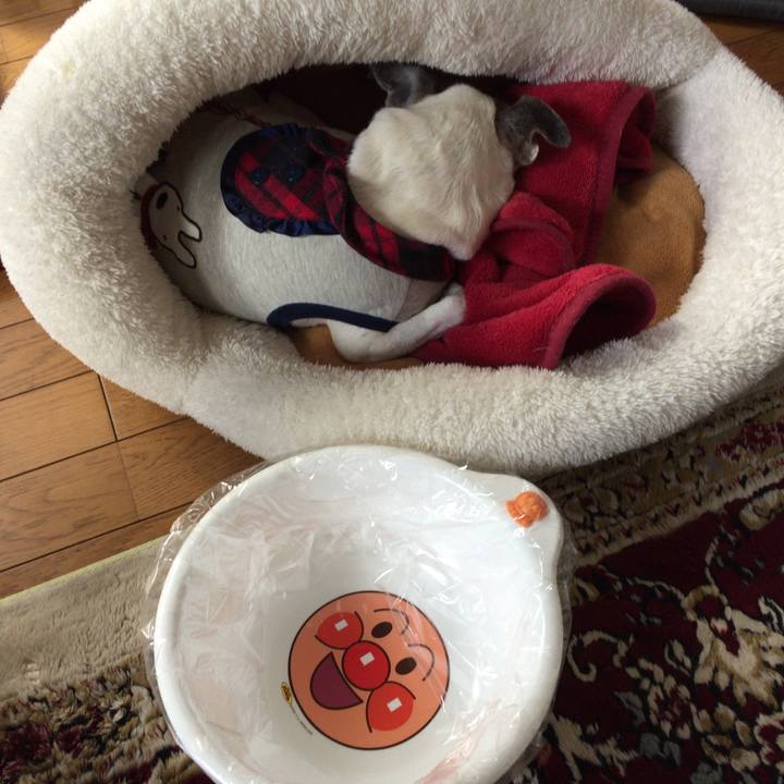 5229dca0 34e1 4672 8ba7 c8c41d3e8b2c