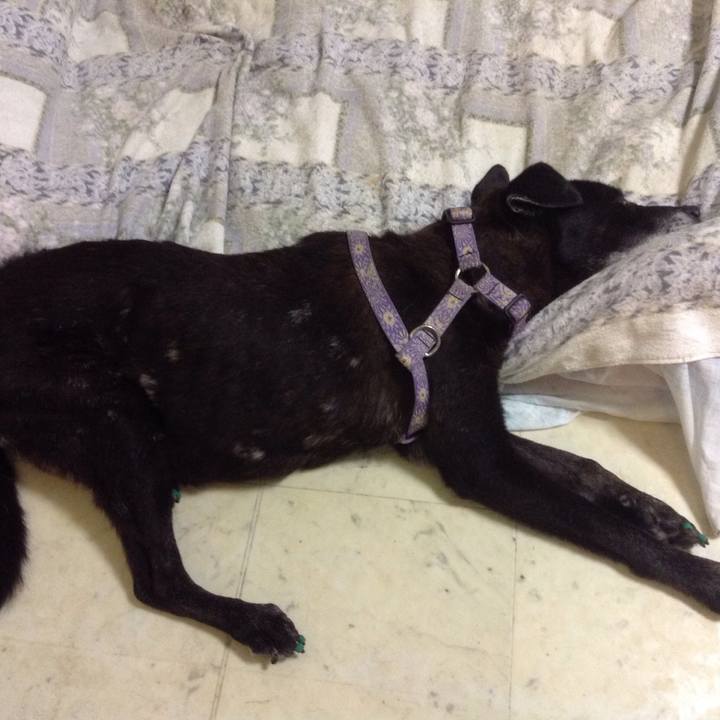 522a67f1 7d4c 4e6e 986f e31b6b6fe489