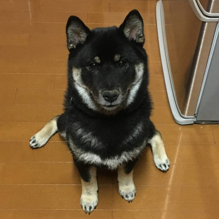 522ae777 d2a9 4ea1 b42d a9ba27734e51