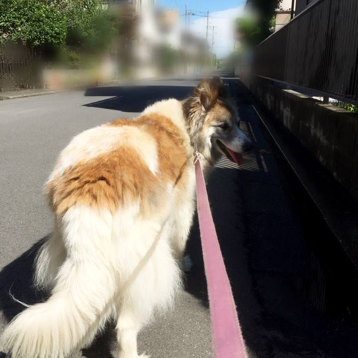 522b7394 4b3c 438a b46a 29e42f57a854