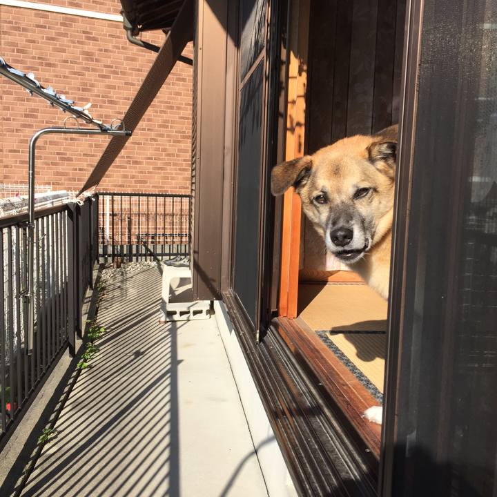 522bd2ee cebf 414f b8ae 3f0bc7d9979e