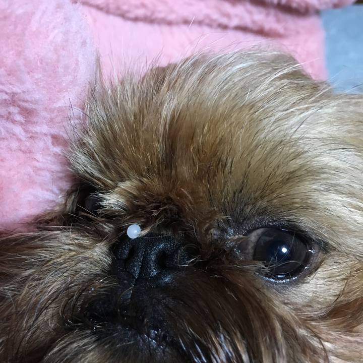 522c1197 d7ca 4745 9cf3 905b2e4f3b4b