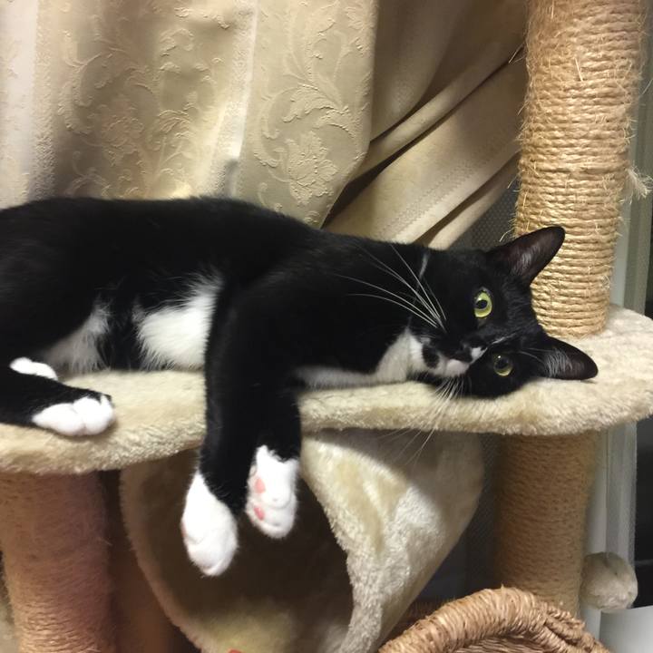 522c6850 3fe5 499c a607 44a7b24e78d0